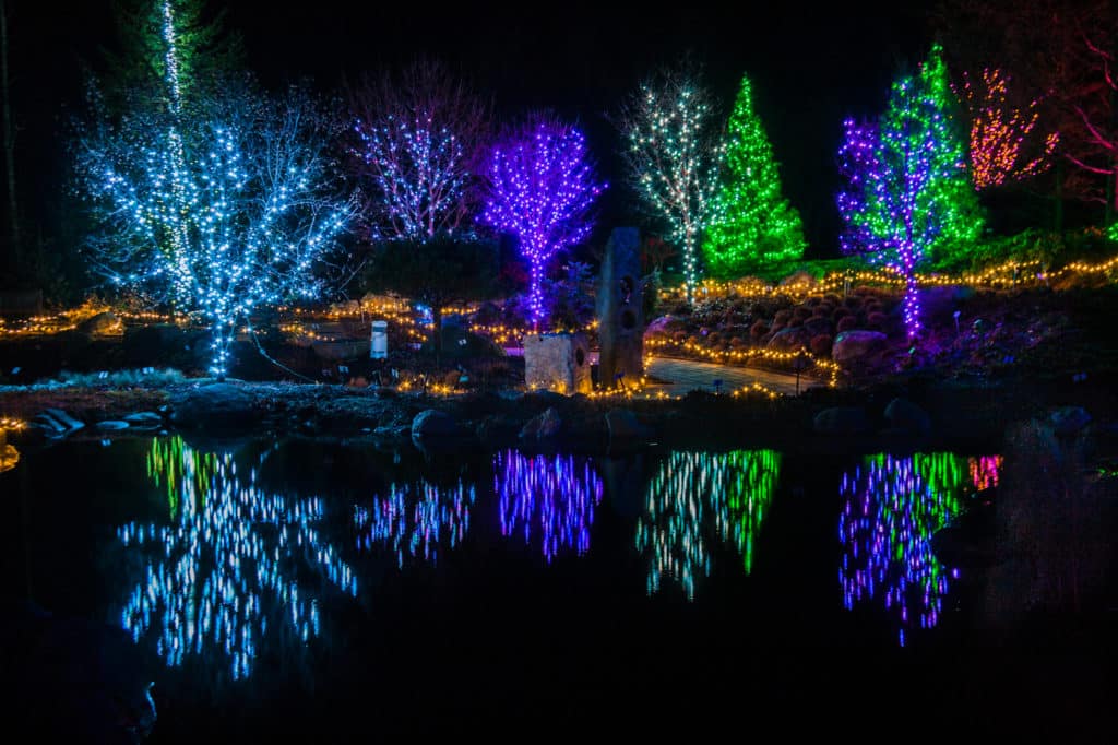 Christmas tree lights at Gardens Aglow in Maine by Paul VanDerWerf