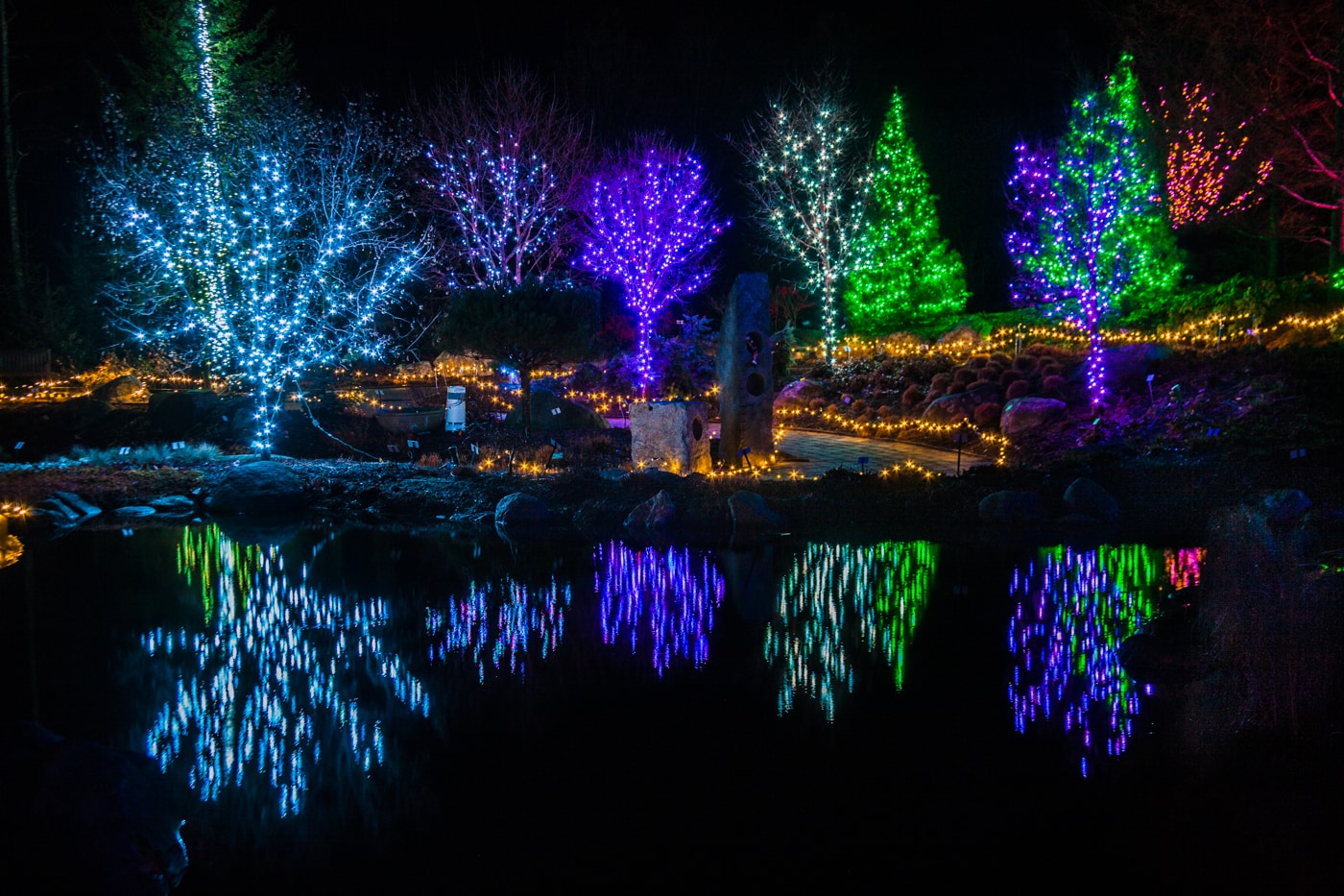 Christmas tree lights at Gardens Aglow in Maine by Paul VanDerWerf