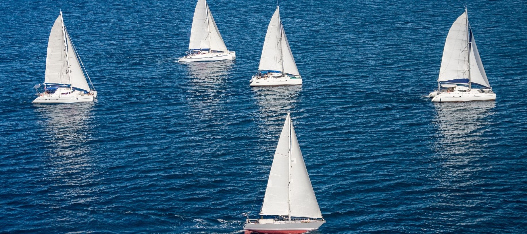 Sailboats racing in a regatta