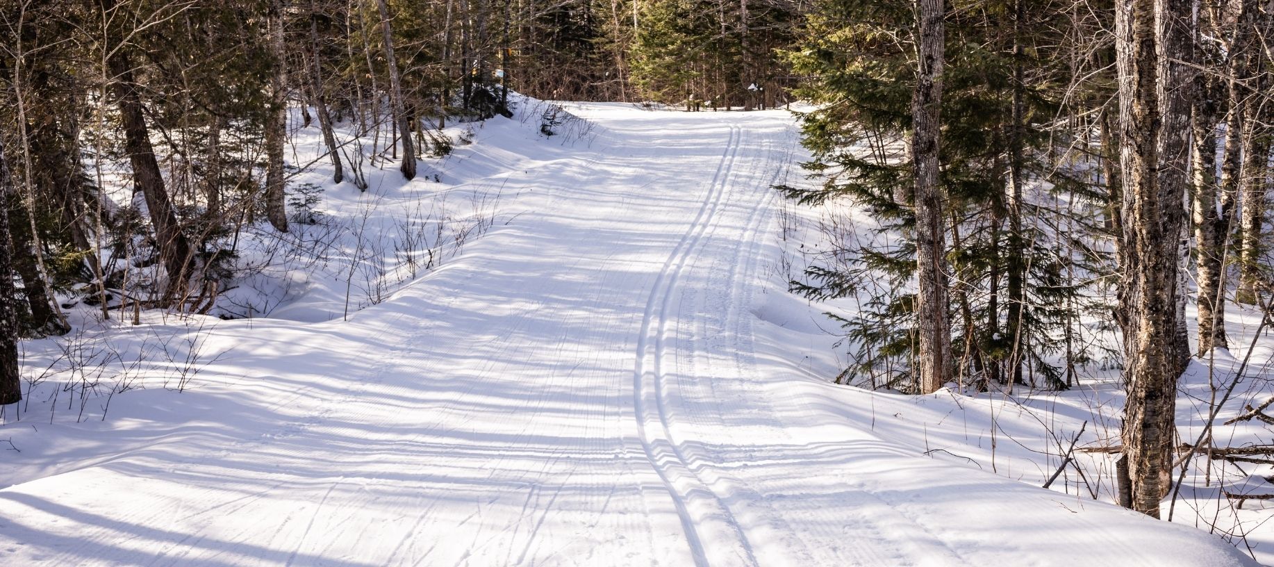 Beautiful snowy trail surrounded by trees in the winter