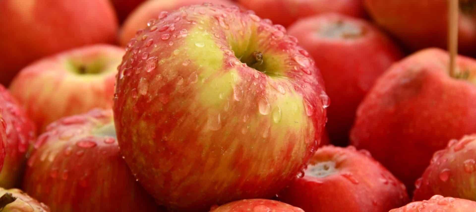 ripe red apples glistening with dew