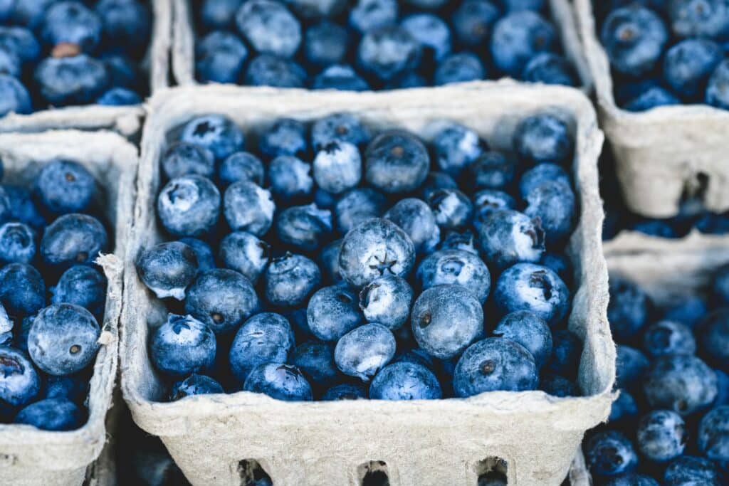 Wild Maine Blueberry