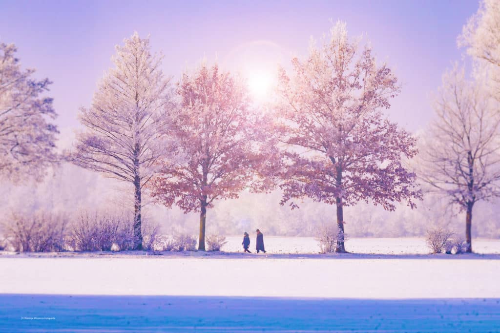 winter scene of sun filtering through snow capped trees, blue skies, and a couple walking