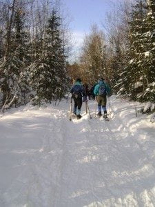 view of two cross country skiiers along a snow cover trail in the woods