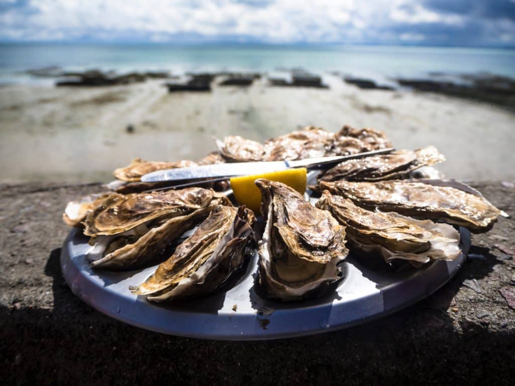 oysters on a plate with lemon and the beach and ocean in the background