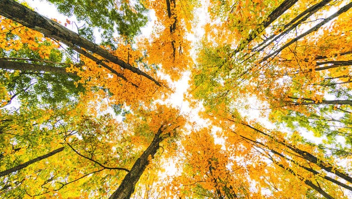 maine in the fall time