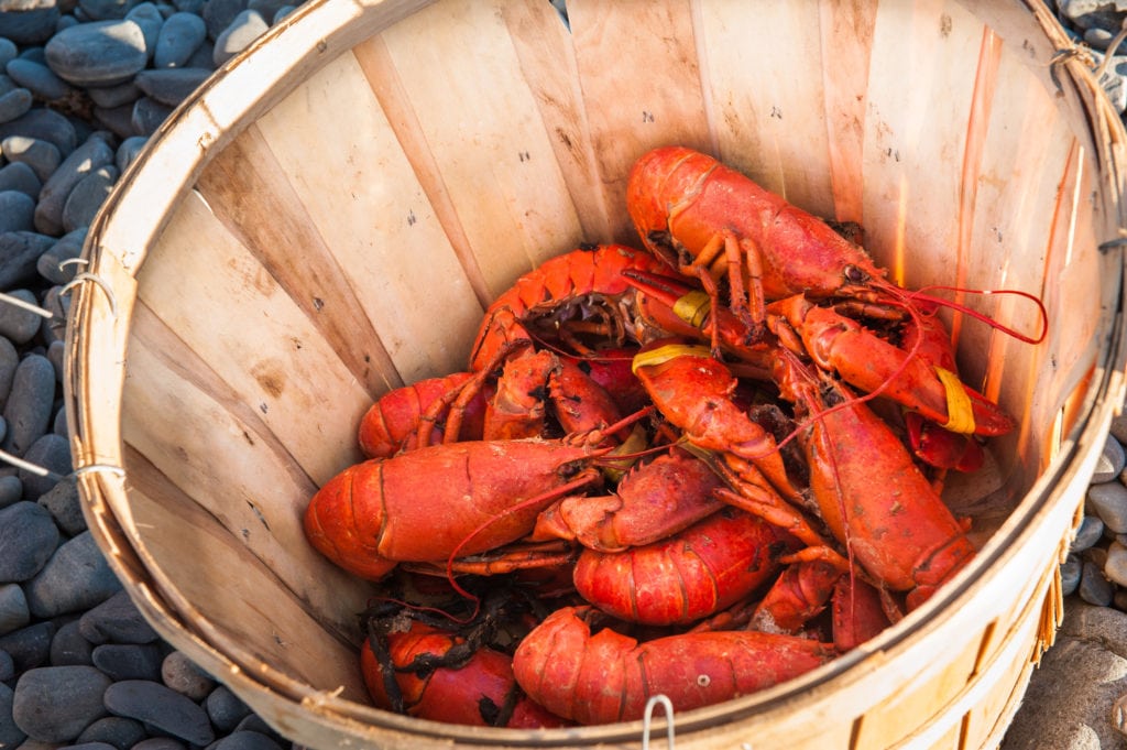 Where to find the Best Maine Lobster | Newcastle Inn