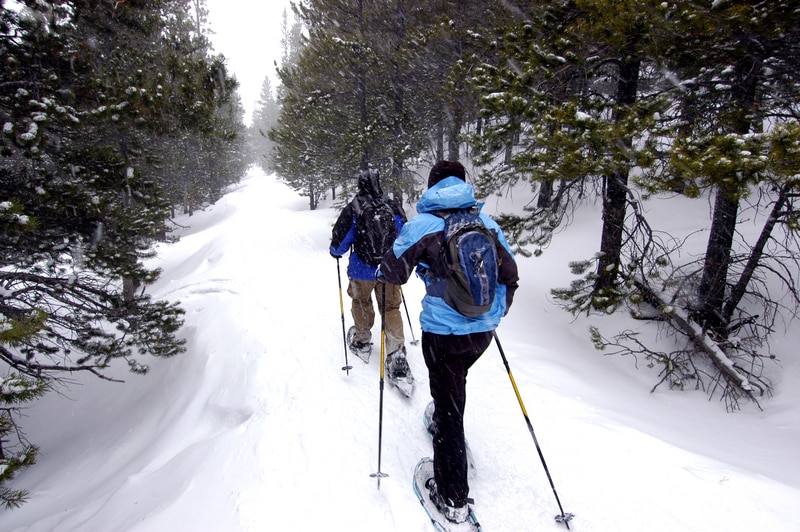 two people snowshoeing through a green forest
