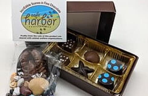 Variety of six chocolates in box next to celophone back with small chocolate sea shells and one solid chocoate lobster with cafe harbor business card with logo.