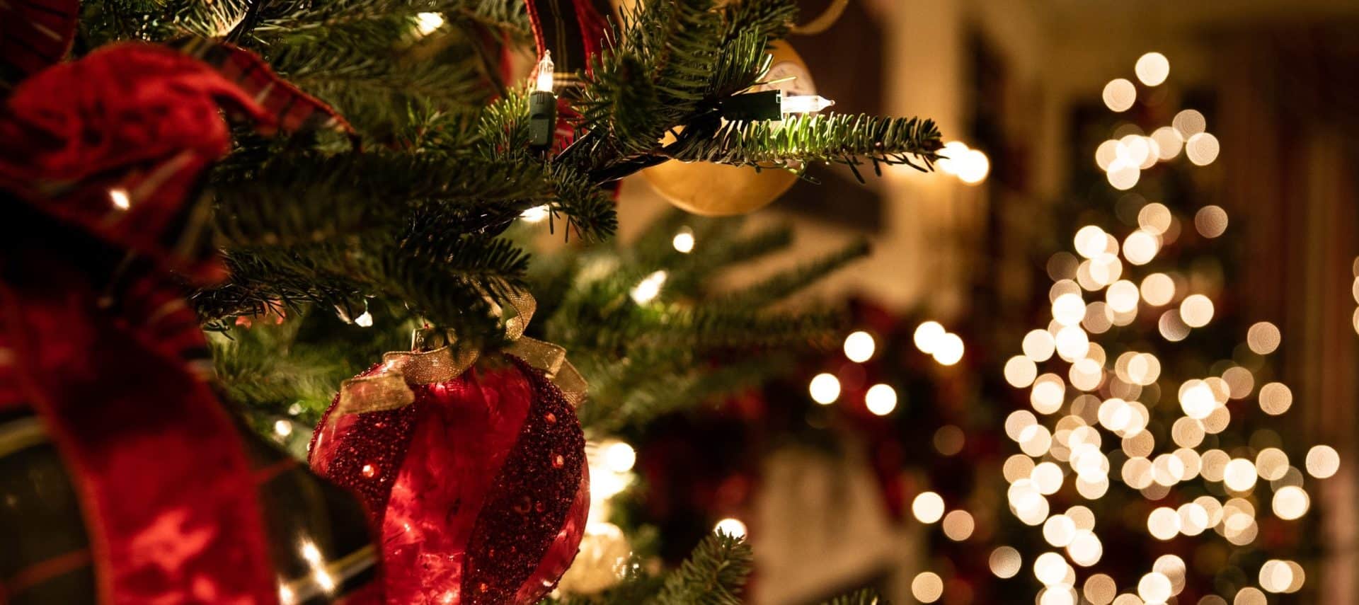 christmas tree with twinkle lights