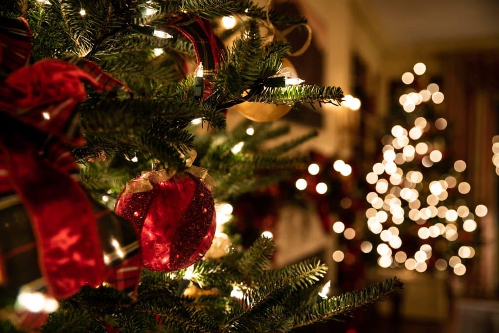 christmas tree with twinkle lights